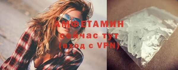 сатива Балахна