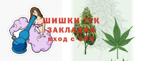 сатива Балахна