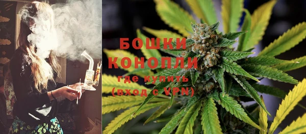сатива Балахна